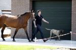 Boekel 14 mei 2018
Boer zoekt vrouw deelneemster Steffie Verhagen ( en haar ouders) bij hun boerderij