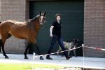 Boekel 14 mei 2018
Boer zoekt vrouw deelneemster Steffie Verhagen ( en haar ouders) bij hun boerderij