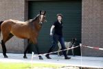 Boekel 14 mei 2018
Boer zoekt vrouw deelneemster Steffie Verhagen ( en haar ouders) bij hun boerderij
