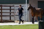 Boekel 14 mei 2018
Boer zoekt vrouw deelneemster Steffie Verhagen ( en haar ouders) bij hun boerderij