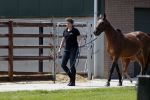 Boekel 14 mei 2018
Boer zoekt vrouw deelneemster Steffie Verhagen ( en haar ouders) bij hun boerderij