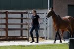 Boekel 14 mei 2018
Boer zoekt vrouw deelneemster Steffie Verhagen ( en haar ouders) bij hun boerderij