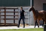 Boekel 14 mei 2018
Boer zoekt vrouw deelneemster Steffie Verhagen ( en haar ouders) bij hun boerderij