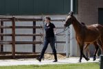 Boekel 14 mei 2018
Boer zoekt vrouw deelneemster Steffie Verhagen ( en haar ouders) bij hun boerderij