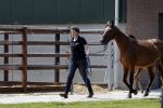 Boekel 14 mei 2018
Boer zoekt vrouw deelneemster Steffie Verhagen ( en haar ouders) bij hun boerderij