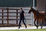 Boekel 14 mei 2018
Boer zoekt vrouw deelneemster Steffie Verhagen ( en haar ouders) bij hun boerderij