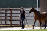 Boekel 14 mei 2018
Boer zoekt vrouw deelneemster Steffie Verhagen ( en haar ouders) bij hun boerderij