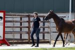 Boekel 14 mei 2018
Boer zoekt vrouw deelneemster Steffie Verhagen ( en haar ouders) bij hun boerderij