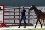 Boekel 14 mei 2018
Boer zoekt vrouw deelneemster Steffie Verhagen ( en haar ouders) bij hun boerderij
