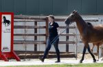 Boekel 14 mei 2018
Boer zoekt vrouw deelneemster Steffie Verhagen ( en haar ouders) bij hun boerderij