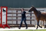 Boekel 14 mei 2018
Boer zoekt vrouw deelneemster Steffie Verhagen ( en haar ouders) bij hun boerderij
