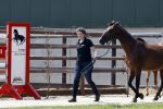 Boekel 14 mei 2018
Boer zoekt vrouw deelneemster Steffie Verhagen ( en haar ouders) bij hun boerderij