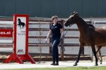 Boekel 14 mei 2018
Boer zoekt vrouw deelneemster Steffie Verhagen ( en haar ouders) bij hun boerderij