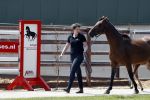 Boekel 14 mei 2018
Boer zoekt vrouw deelneemster Steffie Verhagen ( en haar ouders) bij hun boerderij