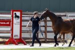 Boekel 14 mei 2018
Boer zoekt vrouw deelneemster Steffie Verhagen ( en haar ouders) bij hun boerderij