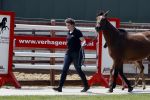 Boekel 14 mei 2018
Boer zoekt vrouw deelneemster Steffie Verhagen ( en haar ouders) bij hun boerderij