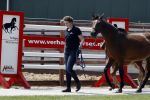Boekel 14 mei 2018
Boer zoekt vrouw deelneemster Steffie Verhagen ( en haar ouders) bij hun boerderij