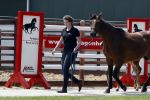 Boekel 14 mei 2018
Boer zoekt vrouw deelneemster Steffie Verhagen ( en haar ouders) bij hun boerderij