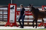 Boekel 14 mei 2018
Boer zoekt vrouw deelneemster Steffie Verhagen ( en haar ouders) bij hun boerderij