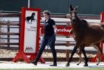 Boekel 14 mei 2018
Boer zoekt vrouw deelneemster Steffie Verhagen ( en haar ouders) bij hun boerderij