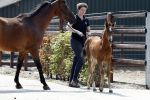 Boekel 14 mei 2018
Boer zoekt vrouw deelneemster Steffie Verhagen ( en haar ouders) bij hun boerderij