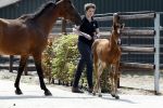Boekel 14 mei 2018
Boer zoekt vrouw deelneemster Steffie Verhagen ( en haar ouders) bij hun boerderij