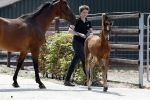 Boekel 14 mei 2018
Boer zoekt vrouw deelneemster Steffie Verhagen ( en haar ouders) bij hun boerderij