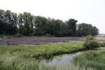 Ouderkerk aan de Amstel 29 mei 2018
Op deze plek aan de Amstel  gaan Sven Kramer en Naomi v As hun droomhuis bouwen.