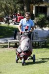 Eemnes 28 mei 2018
Golfwedstrijd ten bate van Warchild met oa Victor Reinier Toine v Peperstraten Mariska v Kolck en Frits Sissing. Kunstenaar Pim Smit maakt samen met victor Reinier een schilderij .