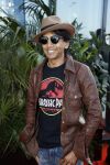 Amsterdam 5 juni 2018
Premiere Jurassic world in het amsterdam theater. Wibi Soerjadi