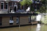 Amsterdam 22 mei 2019
Hans v d Togt is zijn woonark / woonboot compleet aan het verbouwen.