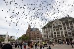 Amsterdam 1 juni 2020
Demonstratie op de dam tegen politiegeweld tegen donkere mensen naar aanleiding van de dood van George Floyd door poltieman in USA
