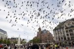 Amsterdam 1 juni 2020
Demonstratie op de dam tegen politiegeweld tegen donkere mensen naar aanleiding van de dood van George Floyd door poltieman in USA