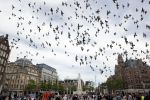 Amsterdam 1 juni 2020
Demonstratie op de dam tegen politiegeweld tegen donkere mensen naar aanleiding van de dood van George Floyd door poltieman in USA