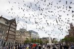 Amsterdam 1 juni 2020
Demonstratie op de dam tegen politiegeweld tegen donkere mensen naar aanleiding van de dood van George Floyd door poltieman in USA