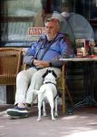 Amsterdam 7 juni 2020
Hans v d Togt met wijntje bitterballen en hondje op terras.