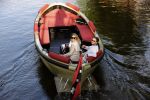 Amsterdam 27 mei 2020
Lieke v Lexmond en haar man Bas v Veggel varen in hun boot door de grachten van Amsterdam .