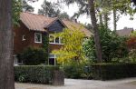Zeist 16 mei 2020
Huis van NPO baas Marcel Gelauff