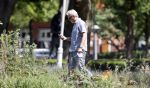 Amsterdam 29 mei 2020
Tom Egbers laat zijn hond uit.