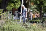 Amsterdam 29 mei 2020
Tom Egbers laat zijn hond uit.