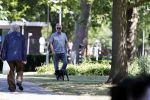 Amsterdam 29 mei 2020
Tom Egbers laat zijn hond uit.