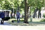 Amsterdam 29 mei 2020
Tom Egbers laat zijn hond uit.