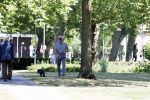 Amsterdam 29 mei 2020
Tom Egbers laat zijn hond uit.