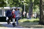 Amsterdam 29 mei 2020
Tom Egbers laat zijn hond uit.