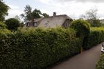 Soest 12 mei 2020
Wilfred Genee gaat vanuit zijn huis naar de plaatselijke kapper. IVM corona waren de kapasalons 2 maanden gesloten .
