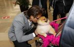 Amstelveen 27 mei 2021
Opening Yoyo tea bar van Rachel Hazes in winkelcentrum Amstelveen.
Andre Hazes zijn vriendinSarah v Soelen en haar ouders zijn ook aanwezig.