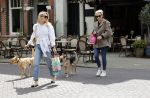 Amsterdam 29 mei 2021
Annekee Molenaar en haar moeder met de honden in Amsterdam zuid.