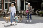 Amsterdam 29 mei 2021
Annekee Molenaar en haar moeder met de honden in Amsterdam zuid.