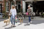 Amsterdam 29 mei 2021
Annekee Molenaar en haar moeder met de honden in Amsterdam zuid.