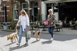 Amsterdam 29 mei 2021
Annekee Molenaar en haar moeder met de honden in Amsterdam zuid.